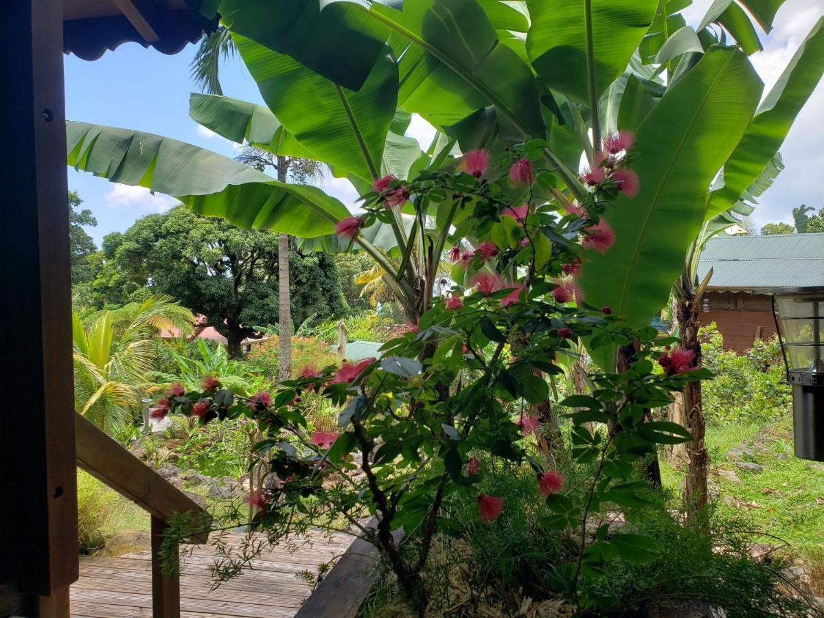 Les Bananes Vertes Ecolodges 圣克洛德 外观 照片