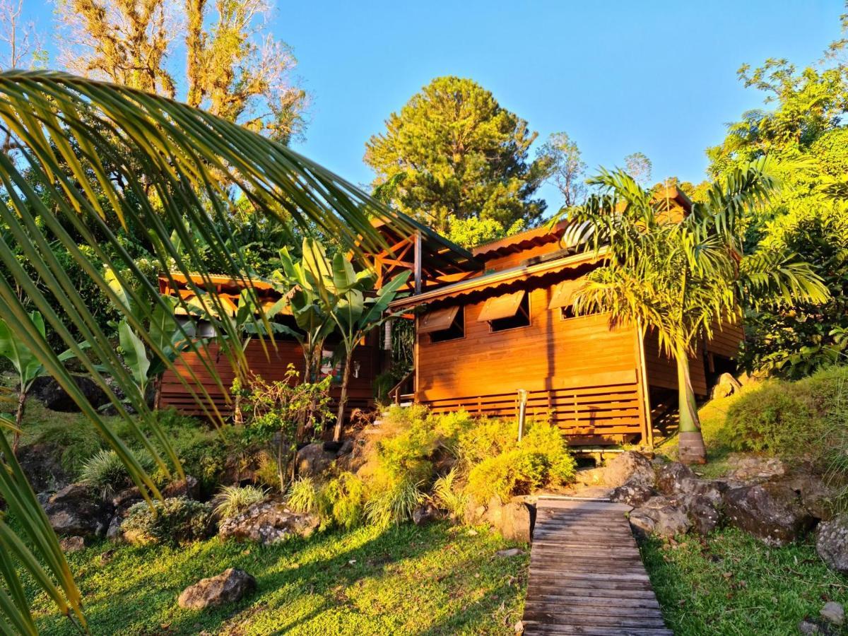 Les Bananes Vertes Ecolodges 圣克洛德 外观 照片