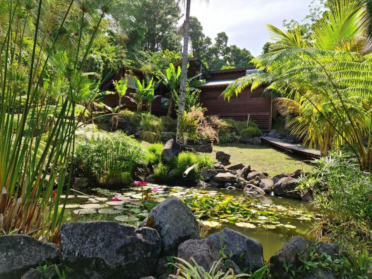 Les Bananes Vertes Ecolodges 圣克洛德 外观 照片