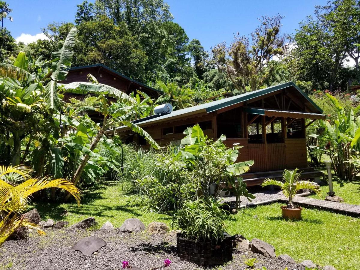 Les Bananes Vertes Ecolodges 圣克洛德 外观 照片