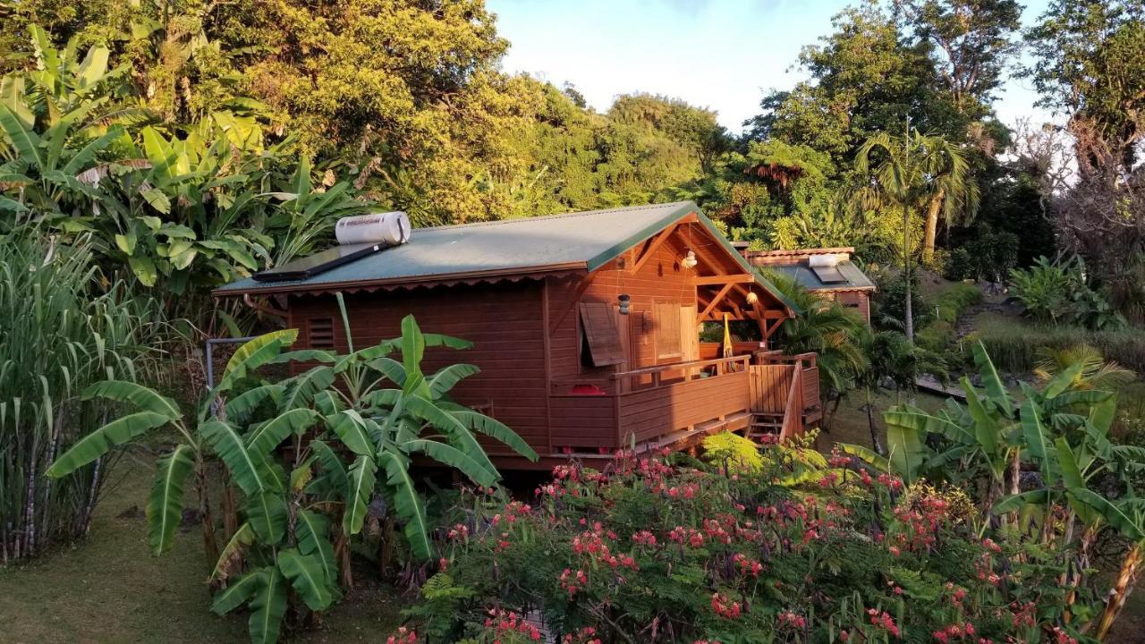 Les Bananes Vertes Ecolodges 圣克洛德 外观 照片