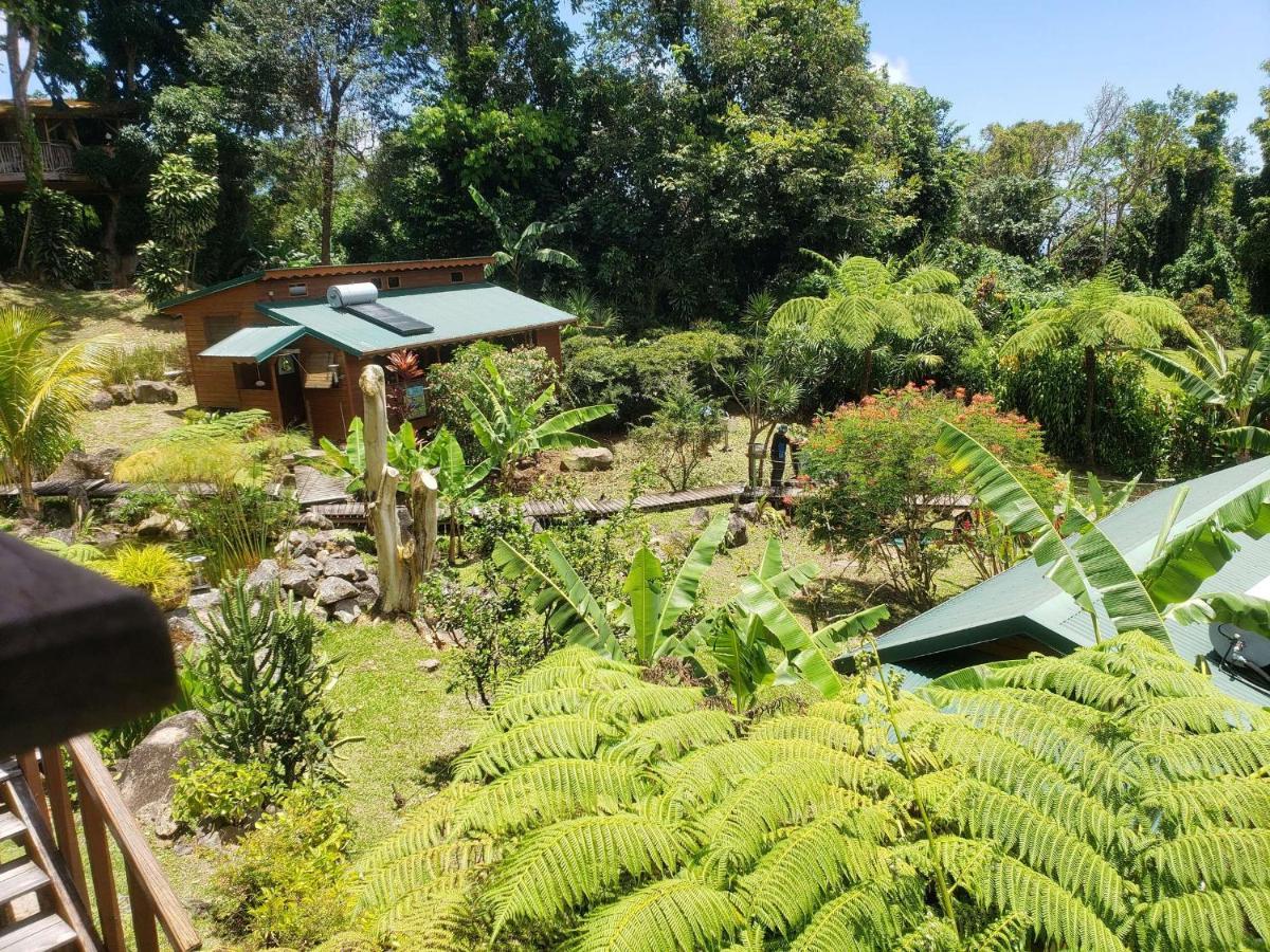 Les Bananes Vertes Ecolodges 圣克洛德 外观 照片