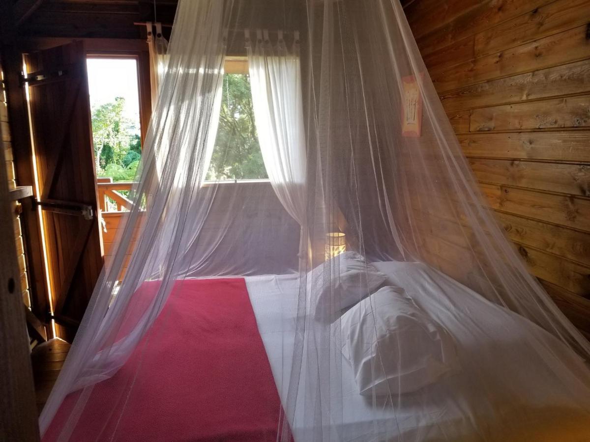 Les Bananes Vertes Ecolodges 圣克洛德 外观 照片