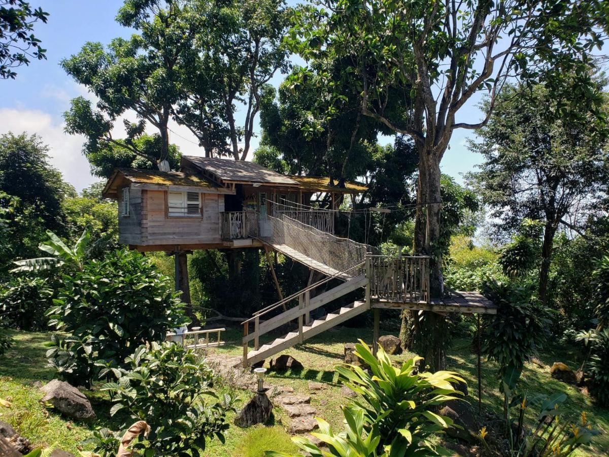 Les Bananes Vertes Ecolodges 圣克洛德 外观 照片