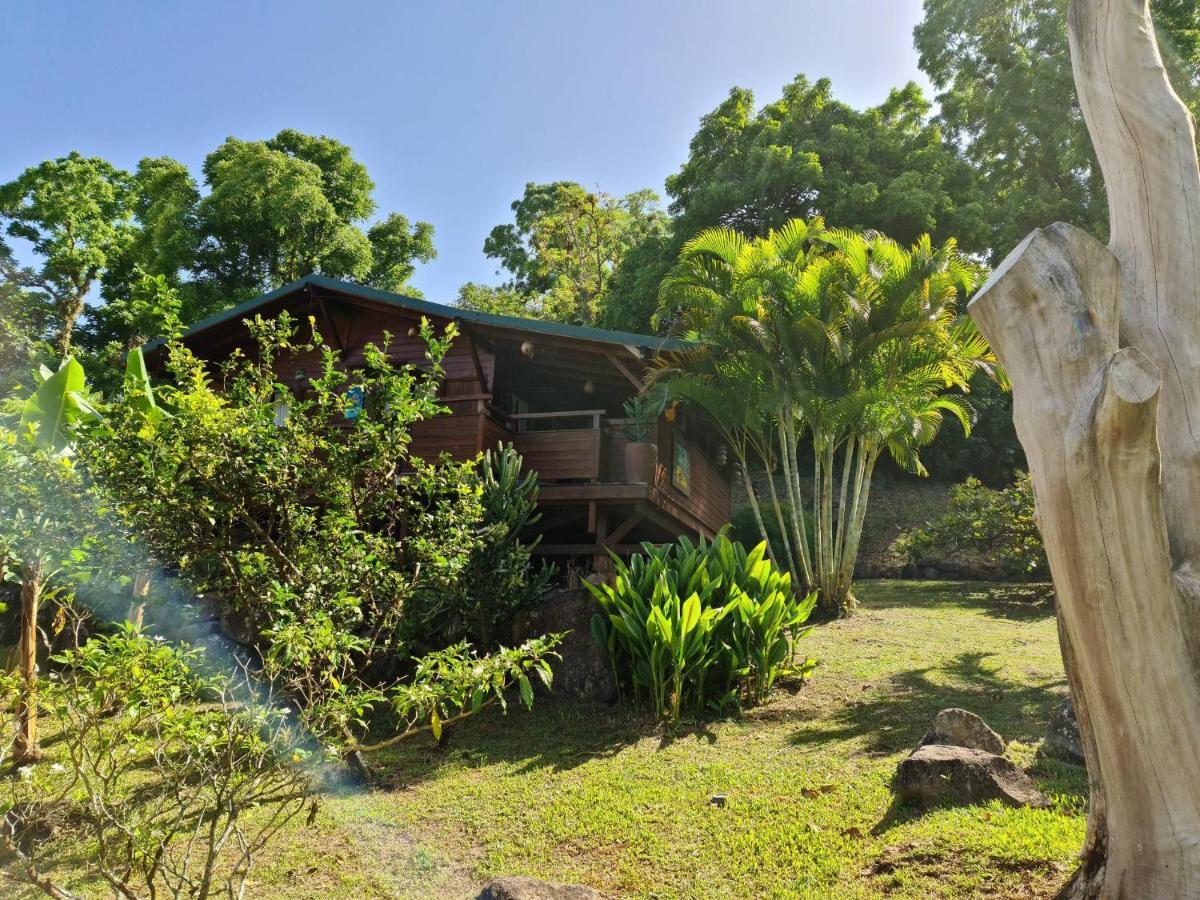 Les Bananes Vertes Ecolodges 圣克洛德 外观 照片