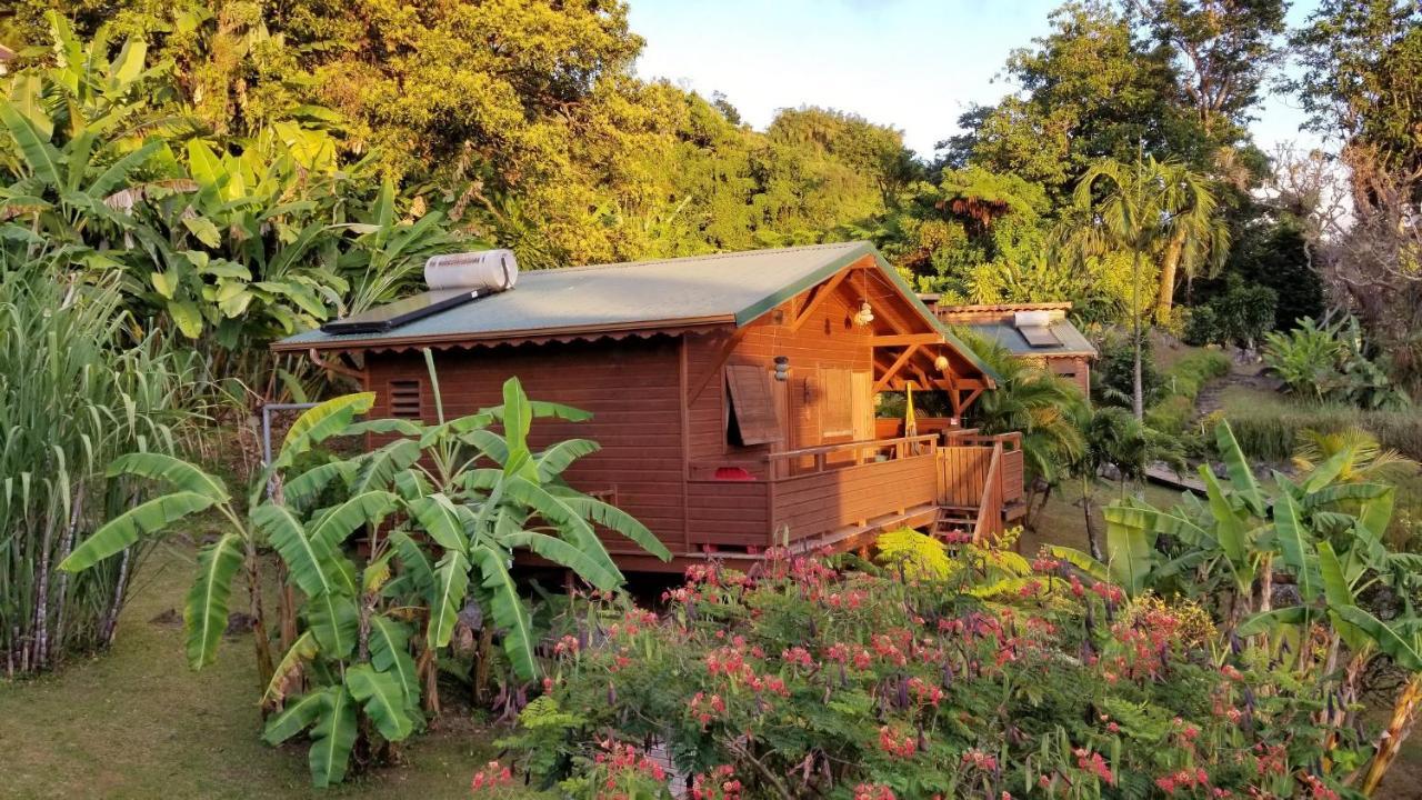 Les Bananes Vertes Ecolodges 圣克洛德 外观 照片