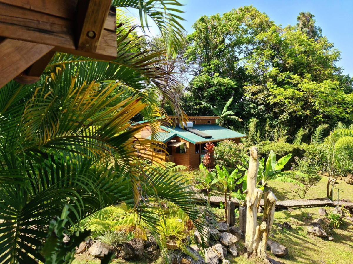 Les Bananes Vertes Ecolodges 圣克洛德 外观 照片