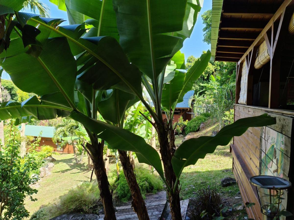 Les Bananes Vertes Ecolodges 圣克洛德 外观 照片