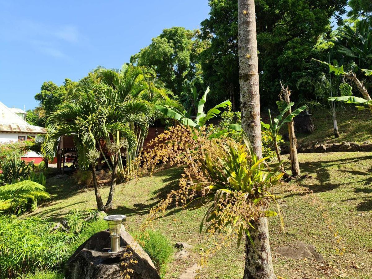 Les Bananes Vertes Ecolodges 圣克洛德 外观 照片