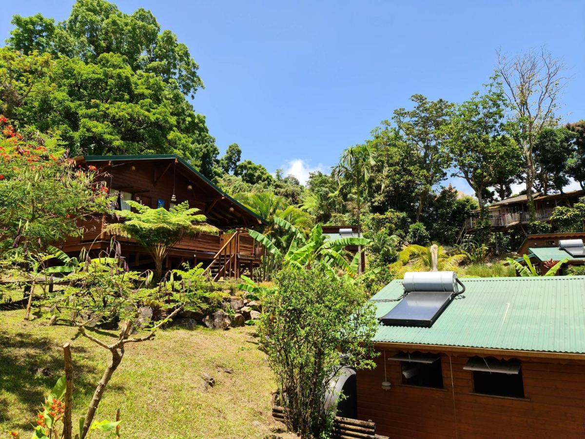 Les Bananes Vertes Ecolodges 圣克洛德 外观 照片