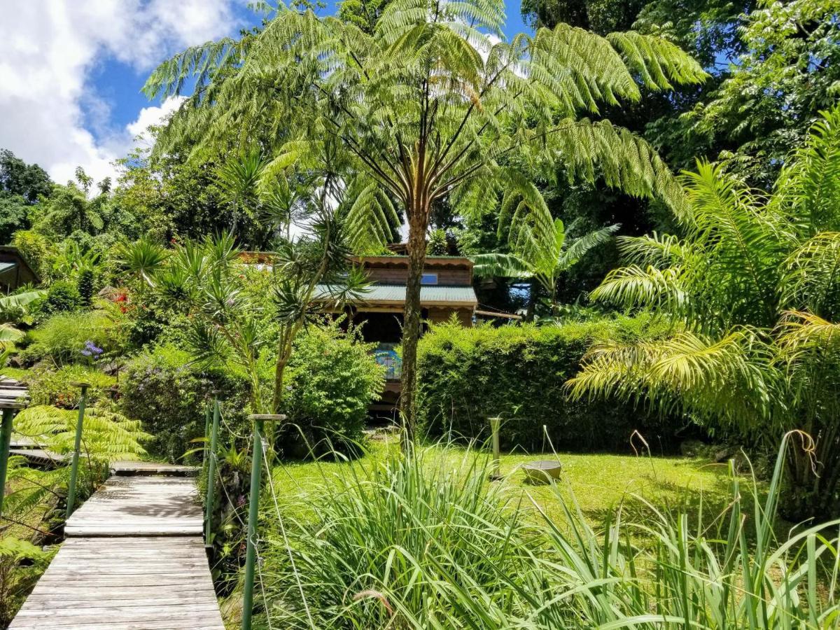 Les Bananes Vertes Ecolodges 圣克洛德 外观 照片