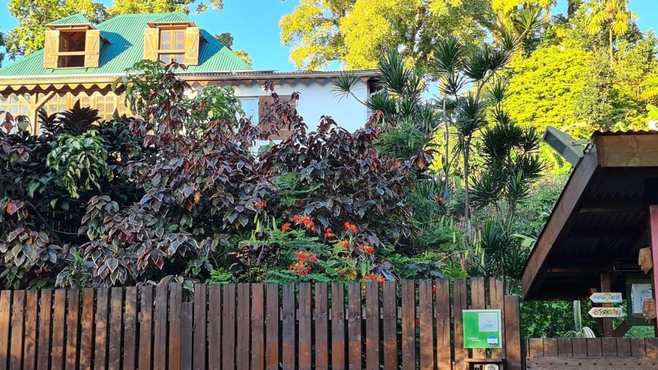 Les Bananes Vertes Ecolodges 圣克洛德 外观 照片