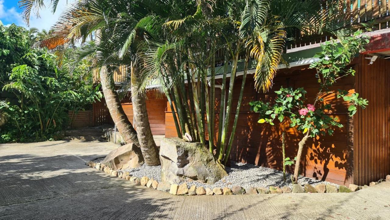 Les Bananes Vertes Ecolodges 圣克洛德 外观 照片
