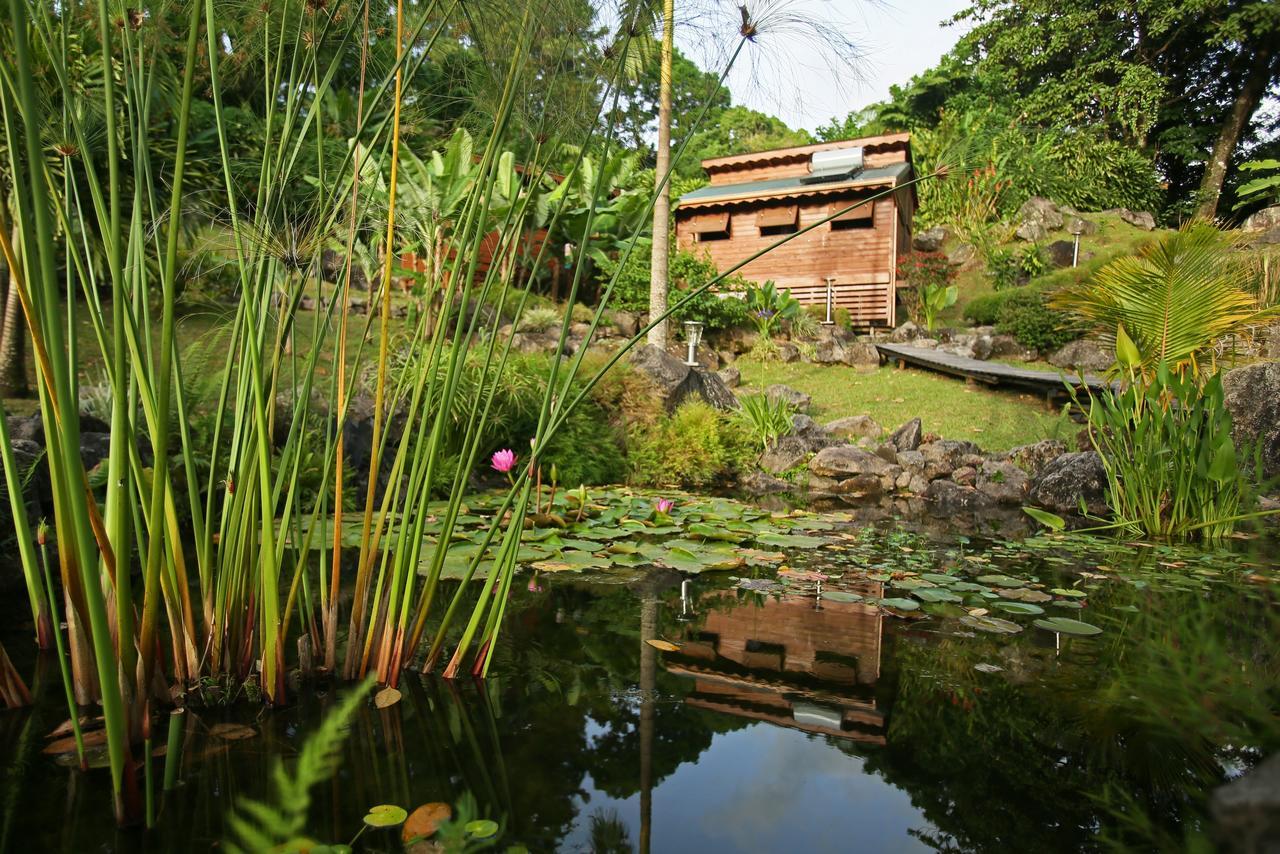 Les Bananes Vertes Ecolodges 圣克洛德 外观 照片